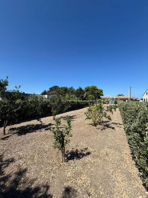 terreno agricolo in vendita a Campofelice di Roccella