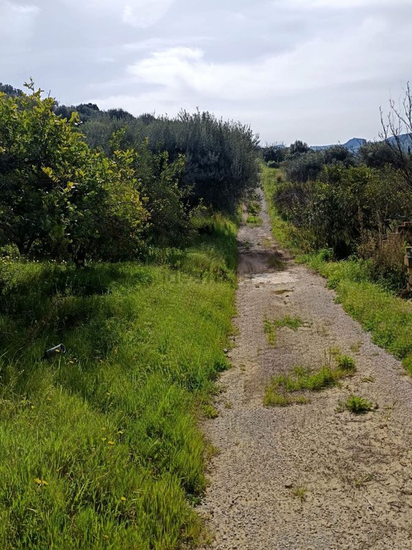 terreno edificabile in vendita a Campofelice di Roccella