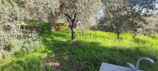 pentavano in vendita a Campofelice di Roccella