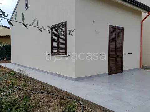 immagine annuncio 0 di 15