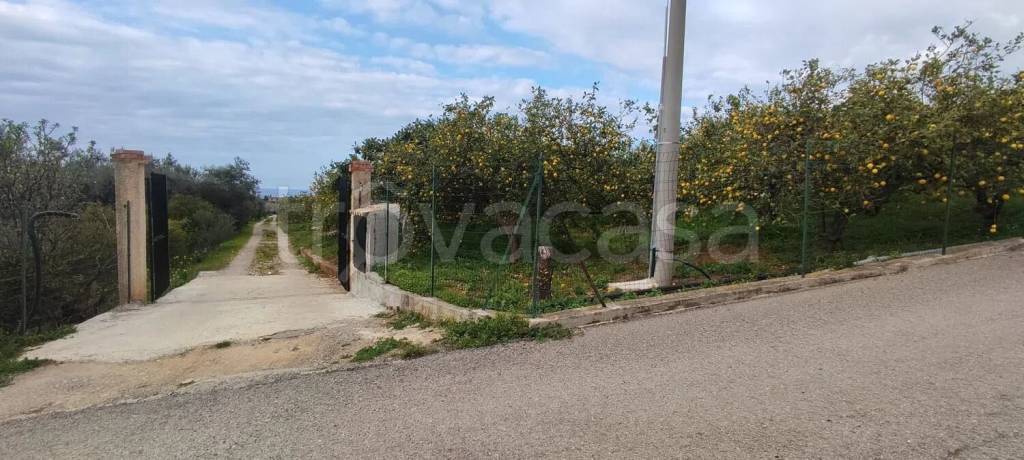 terreno agricolo in vendita a Campofelice di Roccella