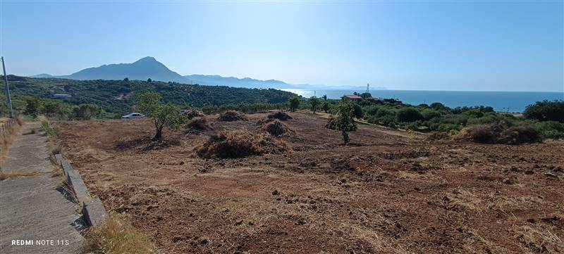 terreno agricolo in vendita a Campofelice di Roccella