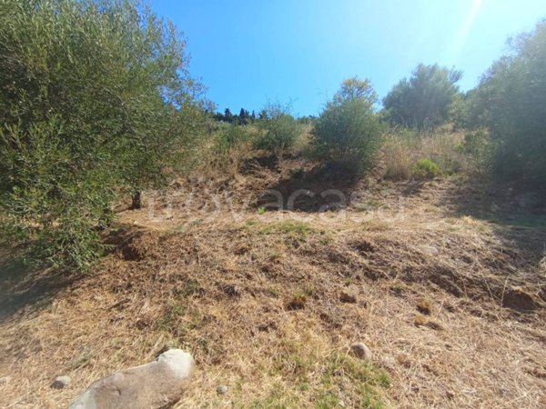 terreno agricolo in vendita a Campofelice di Roccella