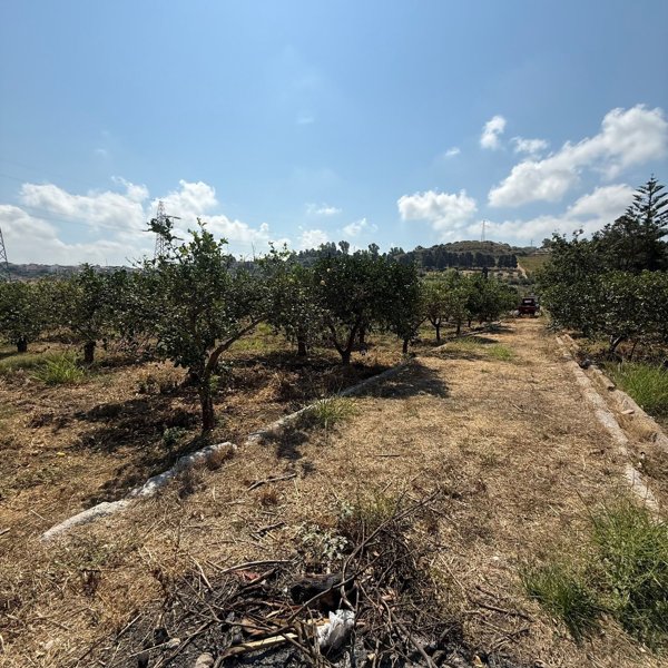 terreno industriale in vendita a Campofelice di Roccella