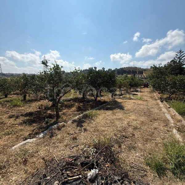 terreno agricolo in vendita a Campofelice di Roccella