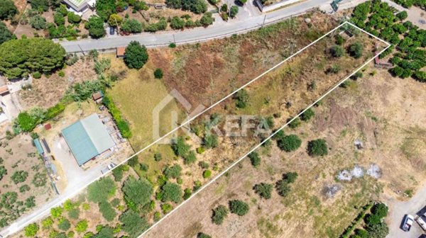 terreno agricolo in vendita a Campofelice di Roccella