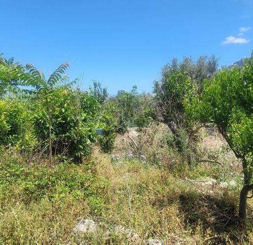 terreno agricolo in vendita a Capaci