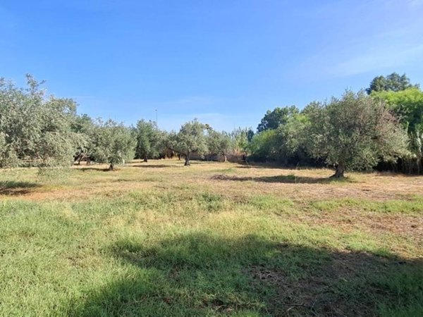 terreno in vendita a Capaci