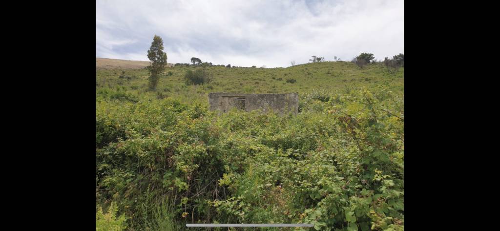 terreno agricolo in vendita a Carini