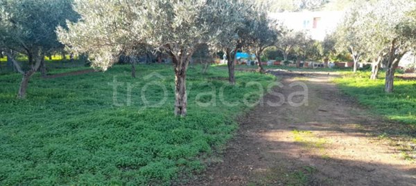 terreno agricolo in vendita a Carini