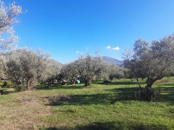 terreno agricolo in vendita a Carini