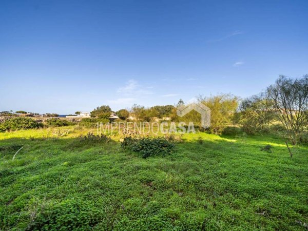terreno agricolo in vendita a Carini in zona Piraineto