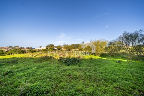 terreno agricolo in vendita a Carini in zona Piraineto