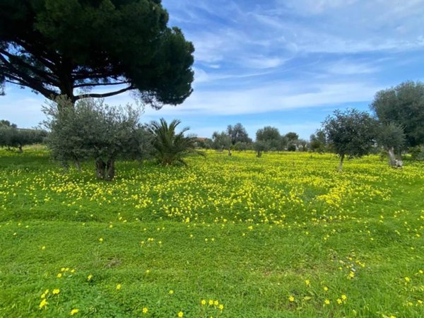 terreno agricolo in vendita a Carini in zona Villagrazia di Carini