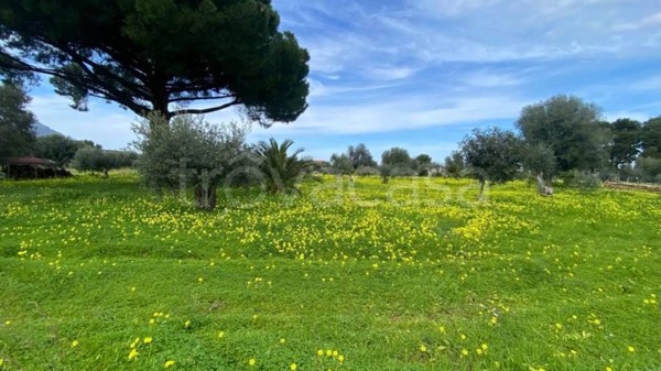 terreno agricolo in vendita a Carini in zona Villagrazia di Carini