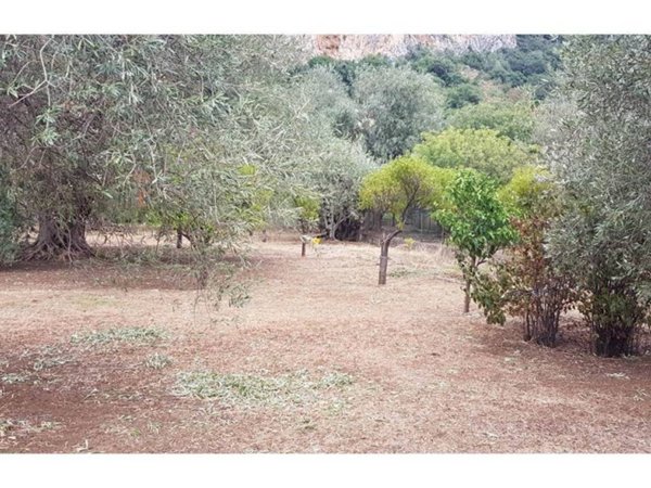 terreno agricolo in vendita a Carini