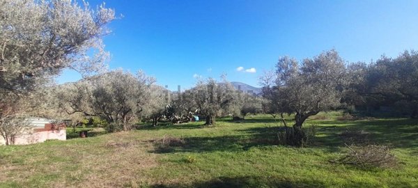 appartamento in vendita a Carini