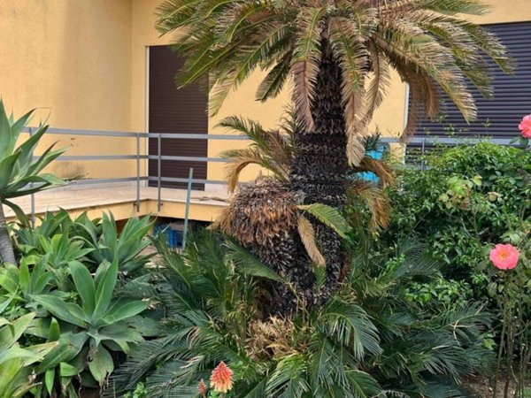 casa indipendente in vendita a Carini