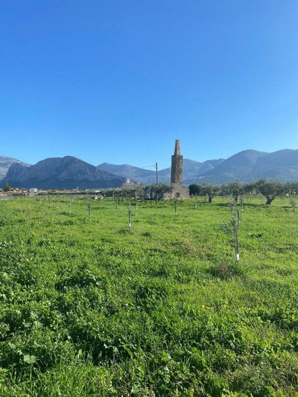 terreno edificabile in vendita a Carini