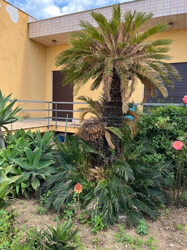 casa indipendente in vendita a Carini