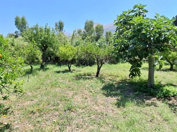 terreno agricolo in vendita a Carini