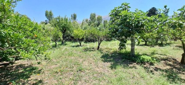 terreno agricolo in vendita a Carini