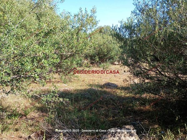 terreno agricolo in vendita a Carini in zona Villagrazia di Carini