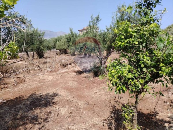 terreno agricolo in vendita a Carini