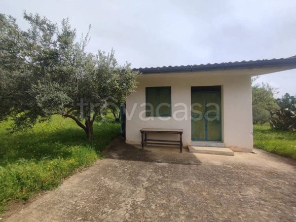 terreno agricolo in vendita a Carini