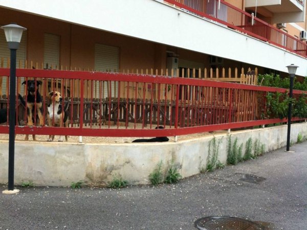 appartamento in vendita a Carini