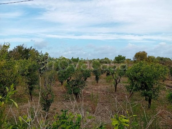 terreno agricolo in vendita a Carini