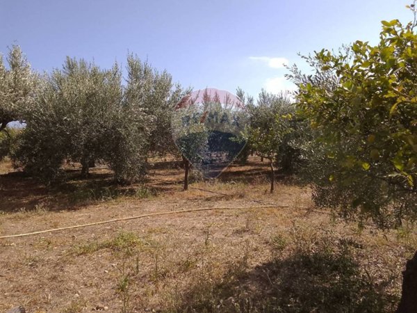 terreno agricolo in vendita a Carini