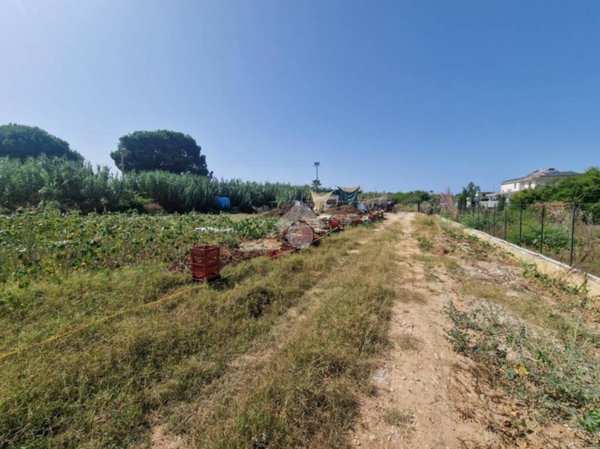 immagine annuncio 0 di 15