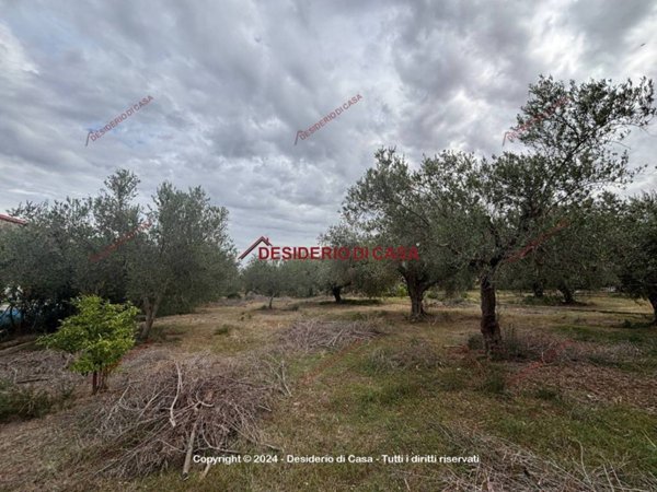 terreno agricolo in vendita a Carini