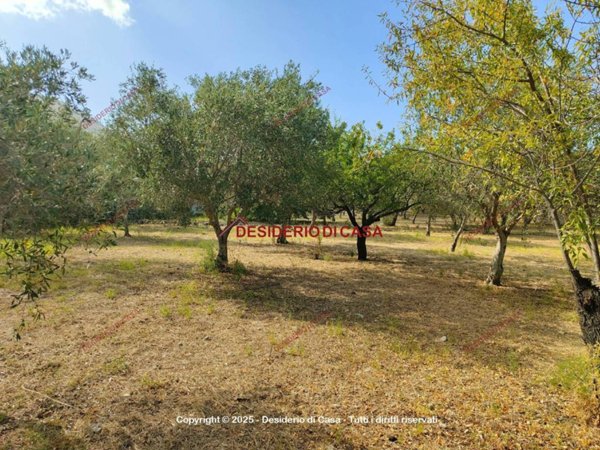 terreno agricolo in vendita a Carini in zona Villagrazia di Carini