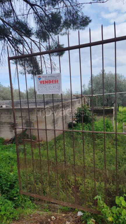 terreno agricolo in vendita a Carini
