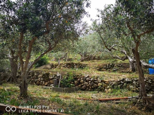 terreno agricolo in vendita a Carini
