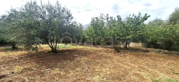 terreno agricolo in vendita a Carini in zona Bivio Foresta