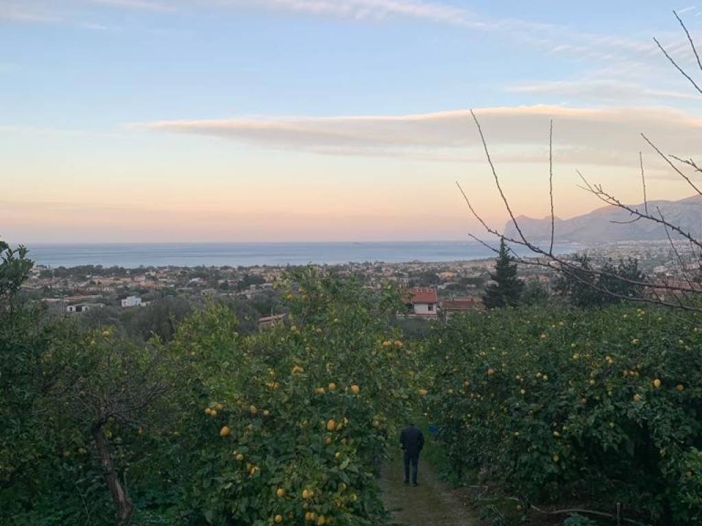 terreno agricolo in vendita a Carini in zona Villagrazia di Carini