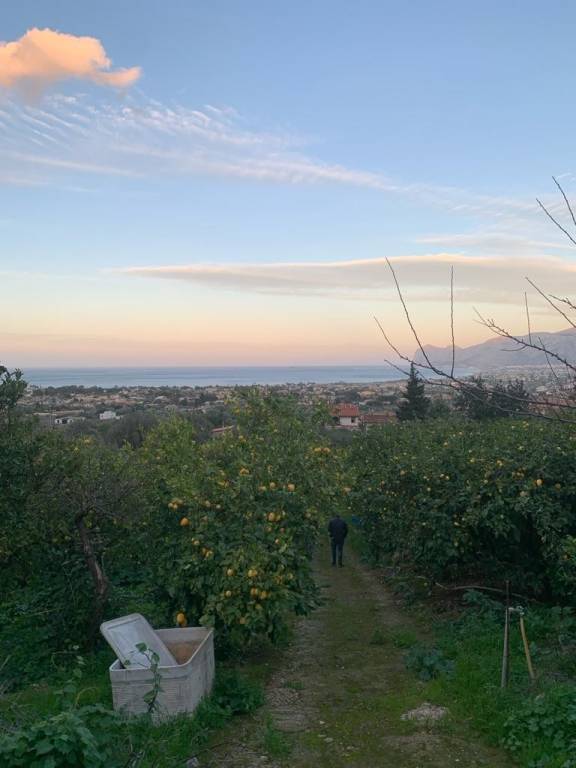 terreno agricolo in vendita a Carini in zona Villagrazia di Carini