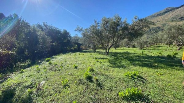 terreno agricolo in vendita a Carini