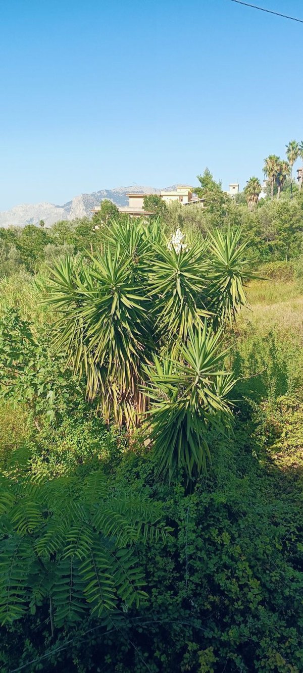 casa indipendente in vendita a Carini