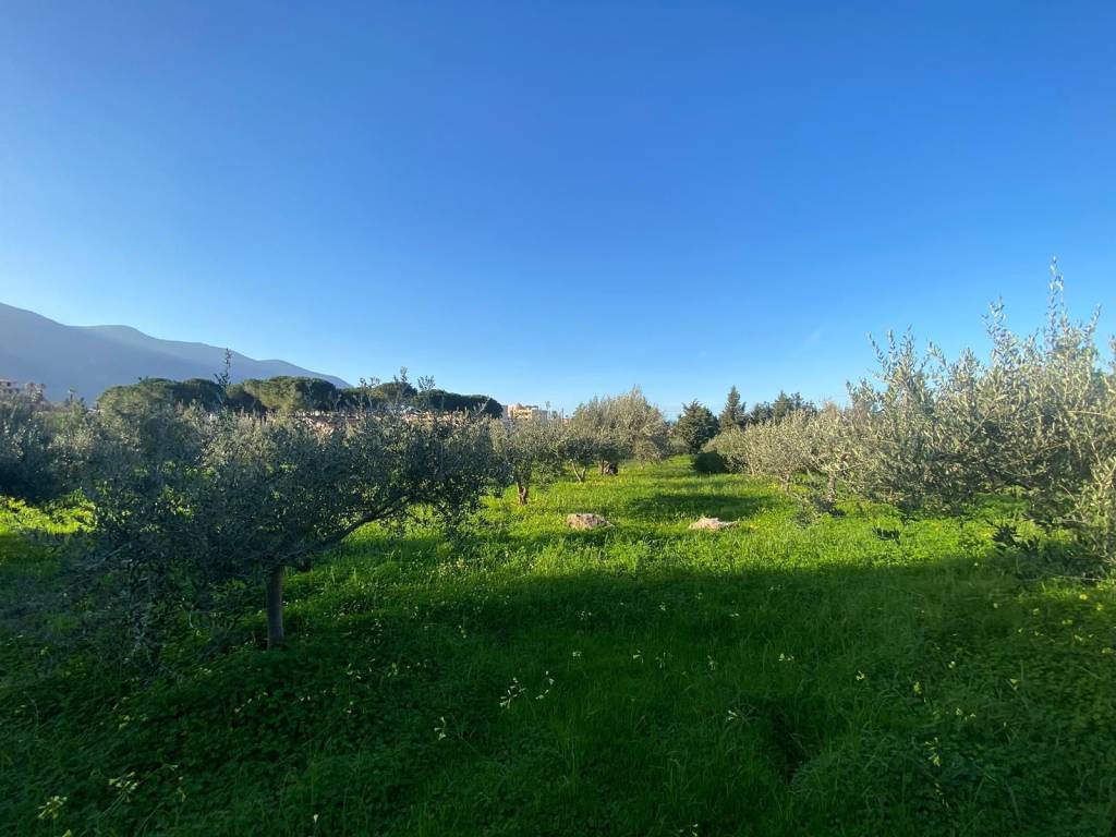 terreno agricolo in vendita a Carini