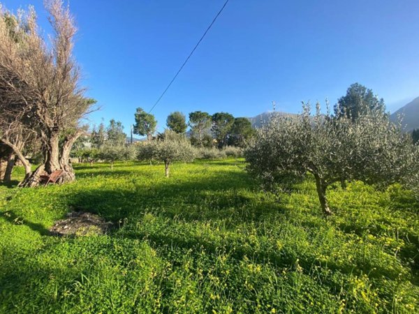 terreno agricolo in vendita a Carini in zona Piraineto