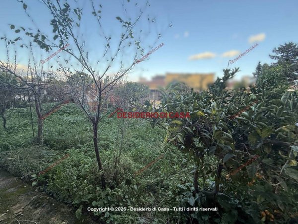 terreno agricolo in vendita a Carini