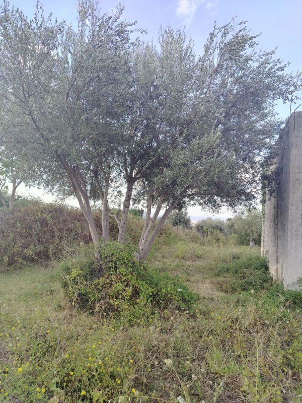 appartamento in vendita a Carini