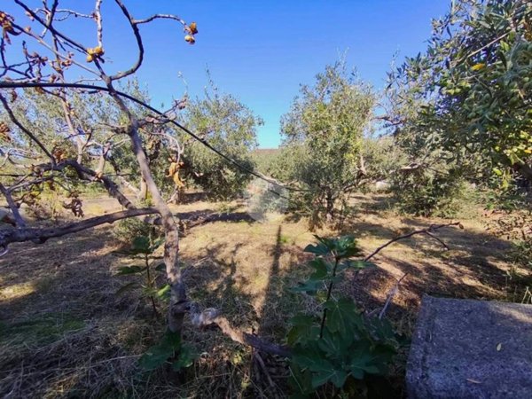 terreno agricolo in vendita a Carini
