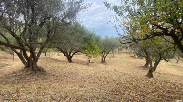 terreno agricolo in vendita a Carini
