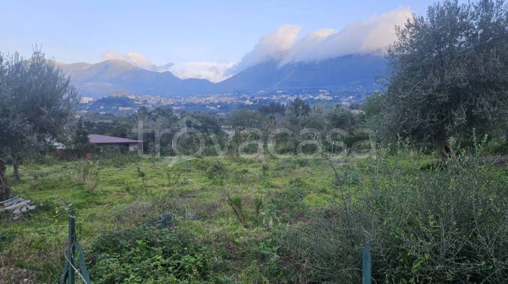 terreno agricolo in vendita a Carini