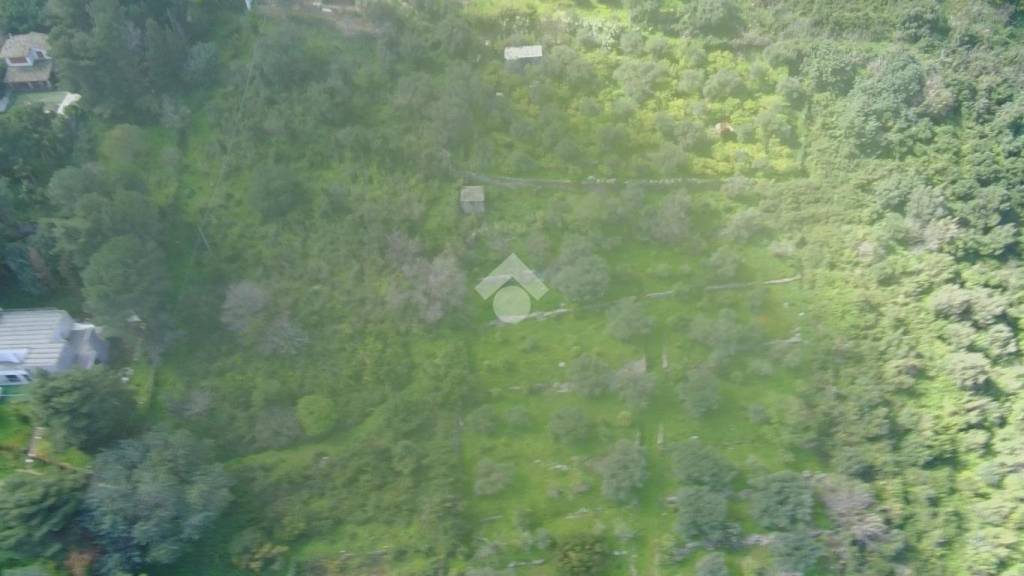 terreno agricolo in vendita a Carini in zona Villagrazia di Carini